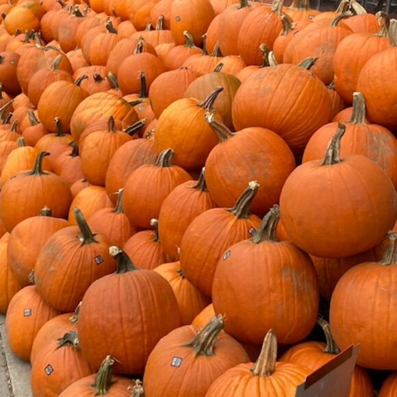 Vintage Conrad C Collection Faux Suede Burned Orange Jacket Size 10 (Pre Owned) - Picture 6 of 6